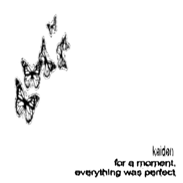 for a moment, everything was perfect cover art