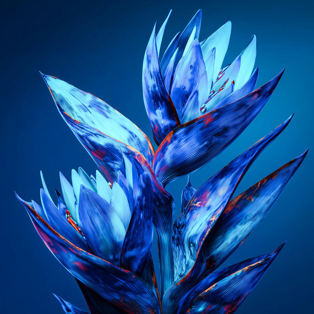 YOMOYO cover art