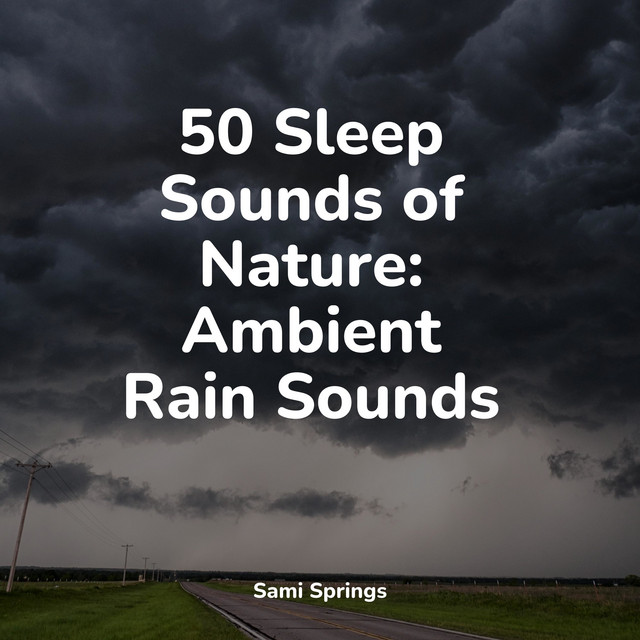50 Sleep Sounds of Nature: Ambient Rain Sounds - Album by Chakra ...