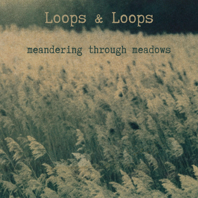 Meandering Through Meadows cover art
