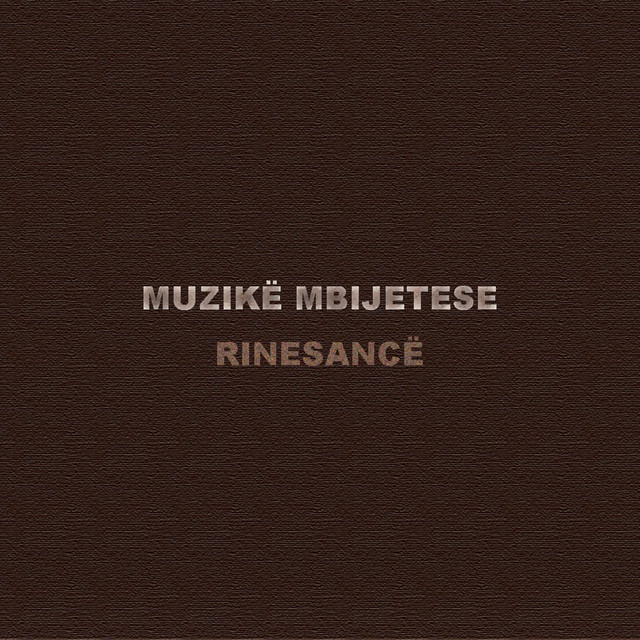 Muzikë Mbijetese cover art