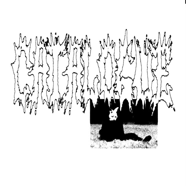 CATALOGUE cover art