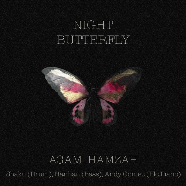 Night Butterfly cover art