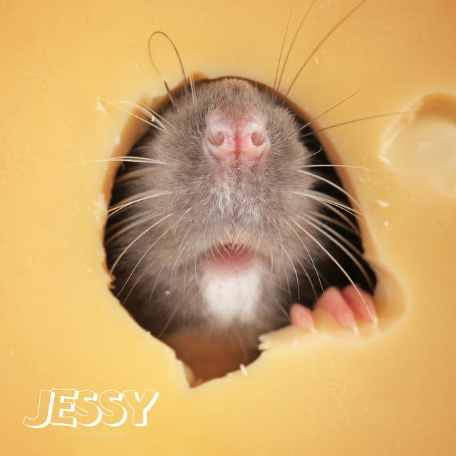 Jessy cover art