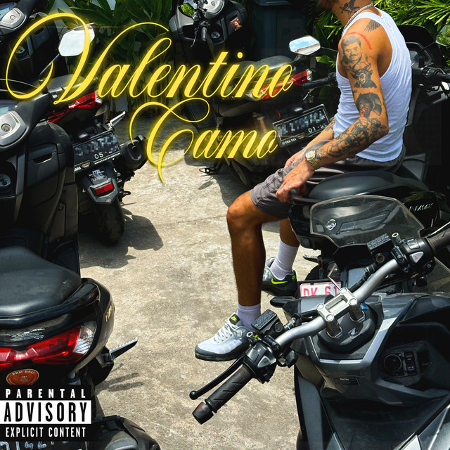 Valentino Camo cover art