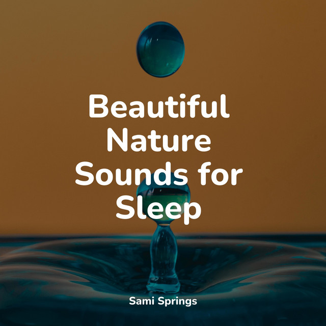Beautiful Nature Sounds for Sleep - Album by Natural Sounds | Spotify