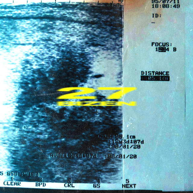27 cover art