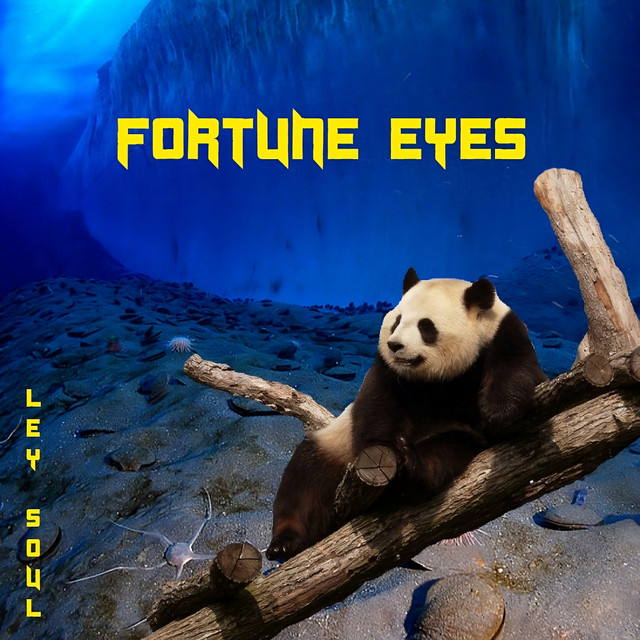 Fortune Eyes cover art