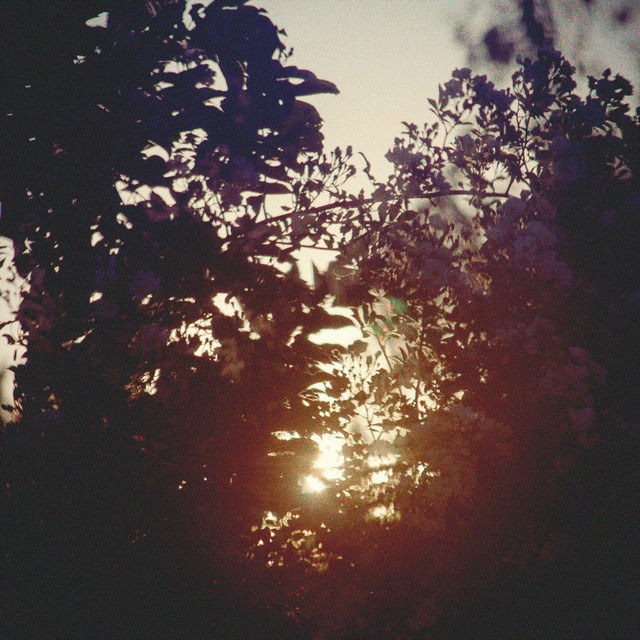 Saudade cover art