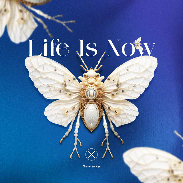 Life Is Now album image