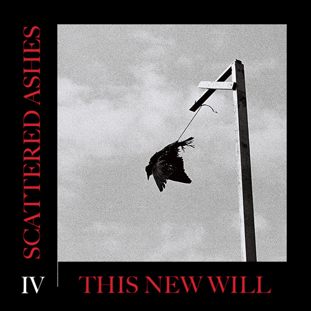 This New Will cover