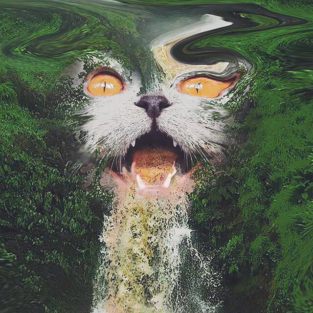 Monmarte cover art