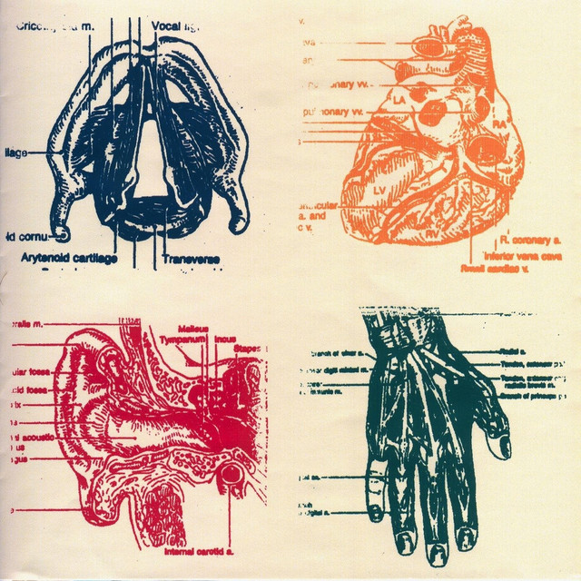 Vena Cava cover