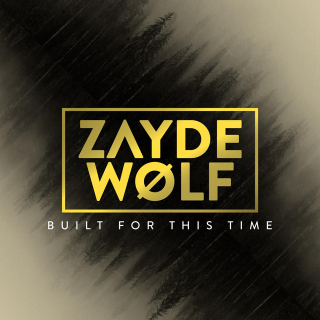 Built For This Time Zayde Wolf