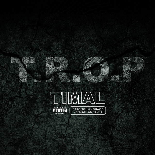 Pochette de Freestyle T.R.O.P de 2023