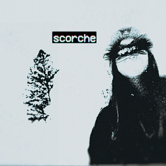 Scorche cover art