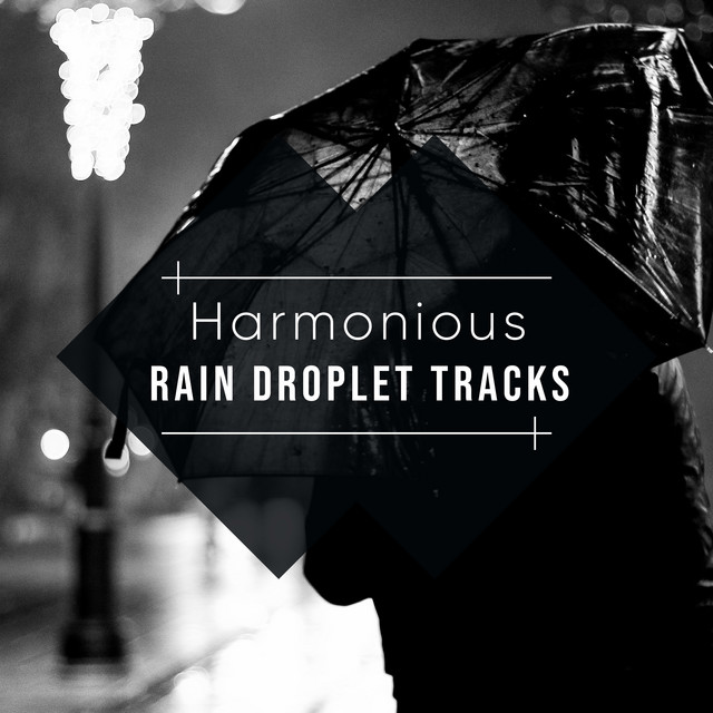 #19 Harmonious Rain Droplet Tracks cover art