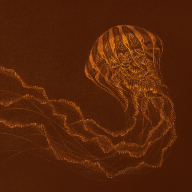 Água Viva cover art