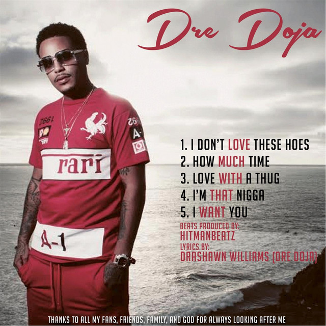 I Dont Love These Hoes cover art