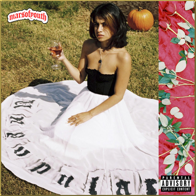 PRECAUTION cover art