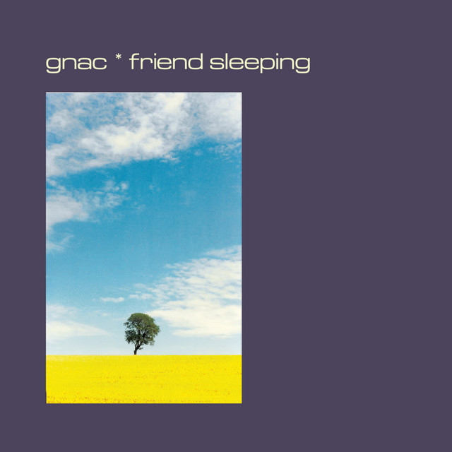 Friend Sleeping (25th Anniversary Remaster) cover art