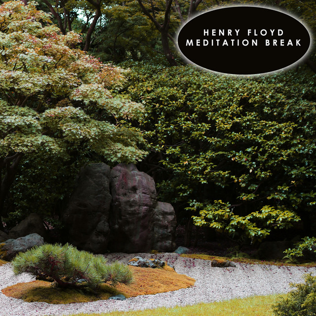 Meditation Break cover art