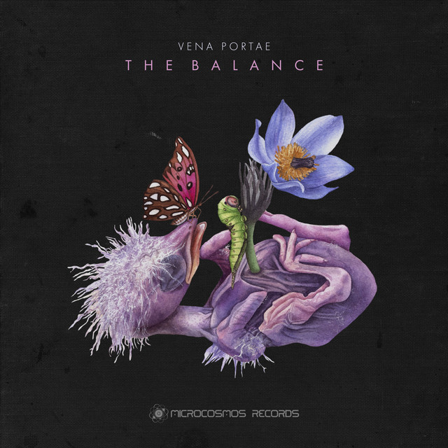 The Balance cover