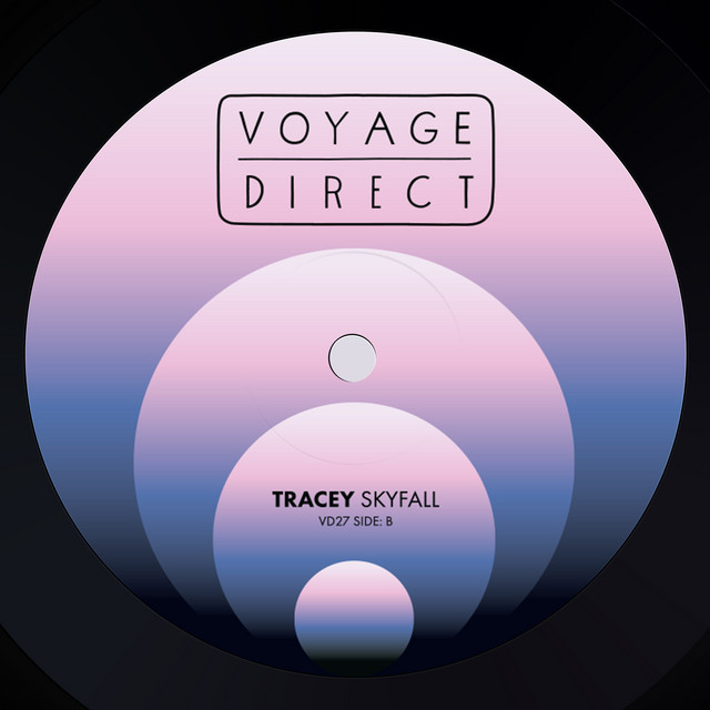Skyfall cover art