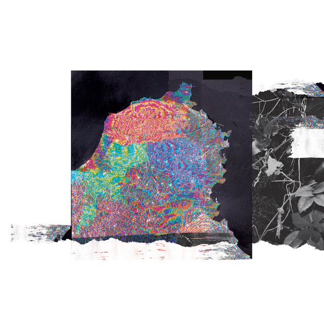 Loose Blooms cover art