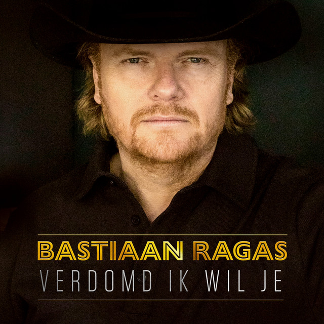 Verdomd ik wil je cover