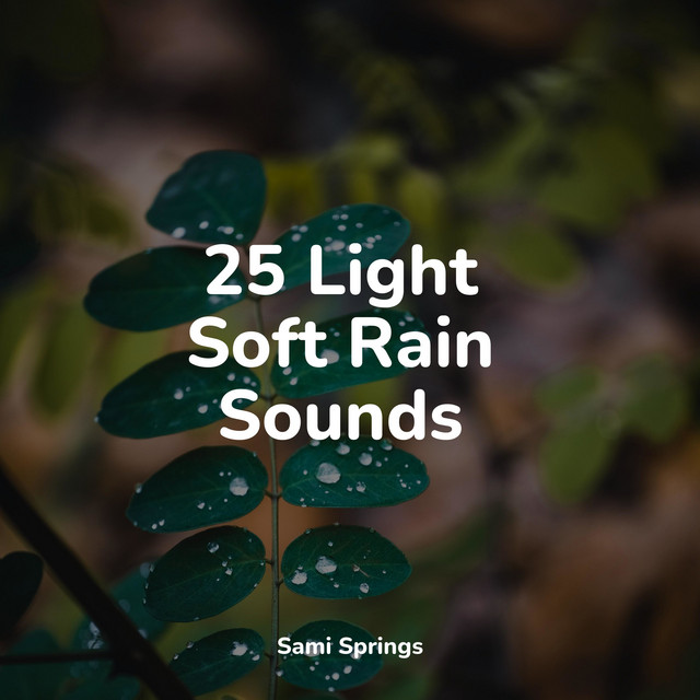25 Light Soft Rain Sounds cover art