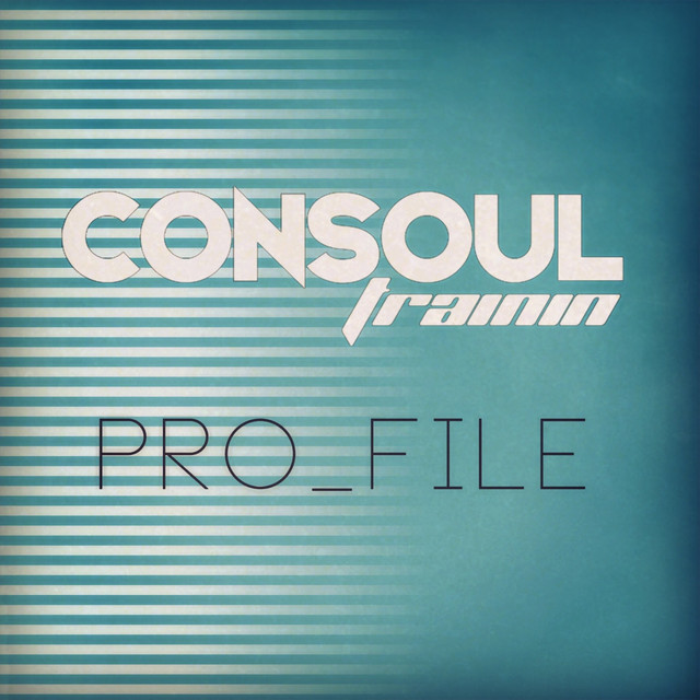 Pro_File (Remixes) cover art