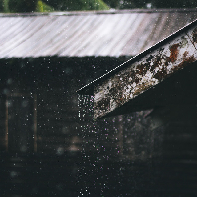 Shelter in the Background artwork