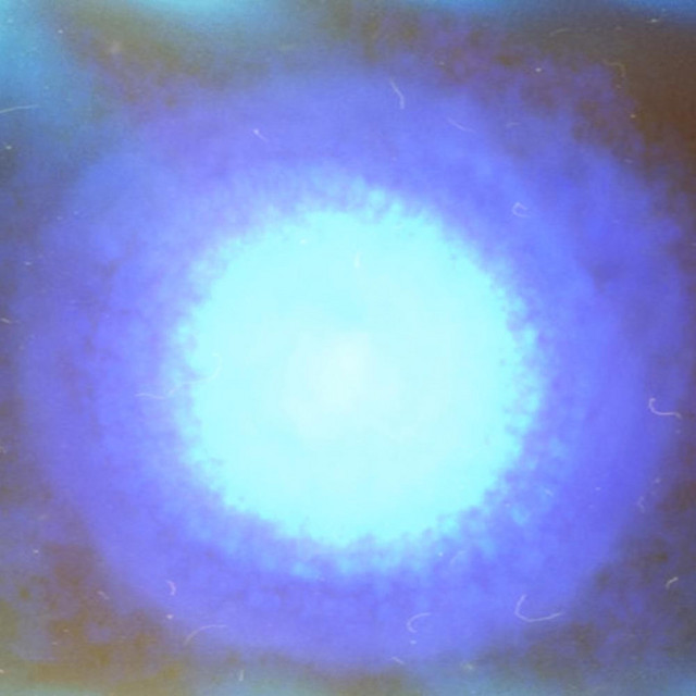 Anemoia cover art