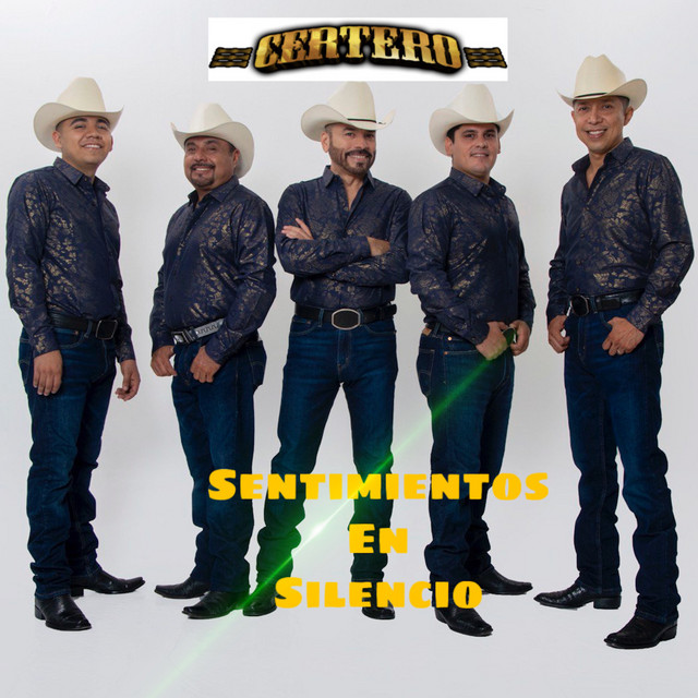 Sentimientos en Silencio cover art