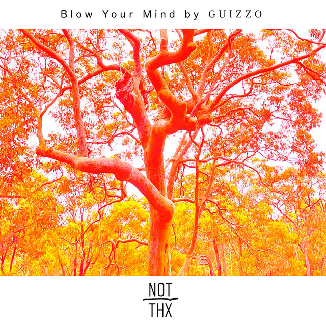 Blow Your Mind cover art