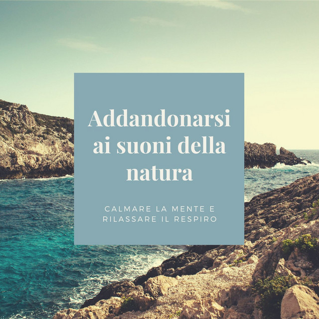 Addandonarsi ai suoni della natura: Suono del mare, pioggia, uccellini ...