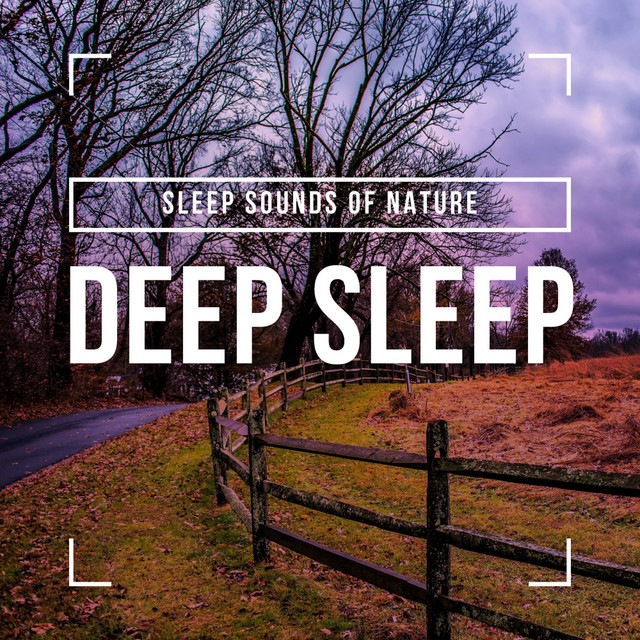 Deep Sleep - Album by Sleep Sounds of Nature | Spotify