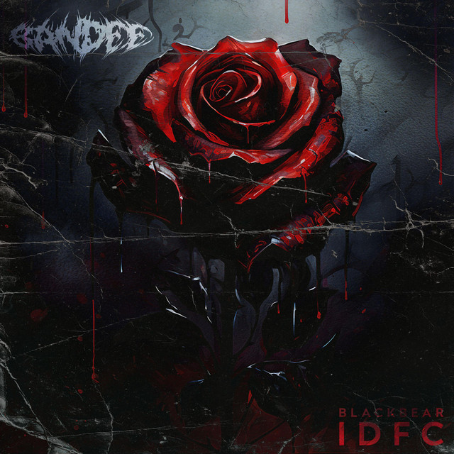 BANDEE - idfc