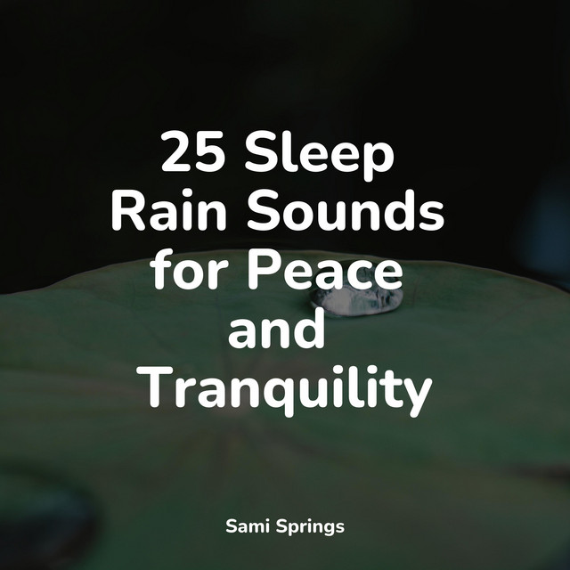 25 Sleep Rain Sounds for Peace and Tranquility - Album by Sonidos De ...