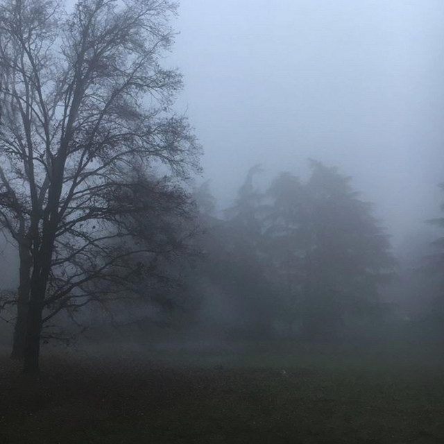 Desolation cover art