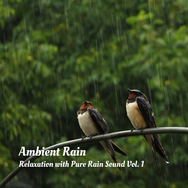 Ambient Rain: Relaxation with Pure Rain Sound Vol. 1 cover art