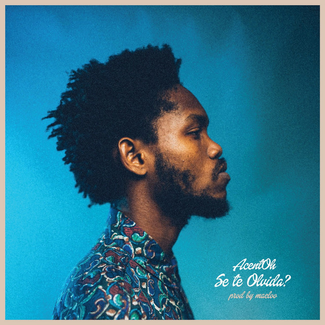 Se Te Olvida? cover art