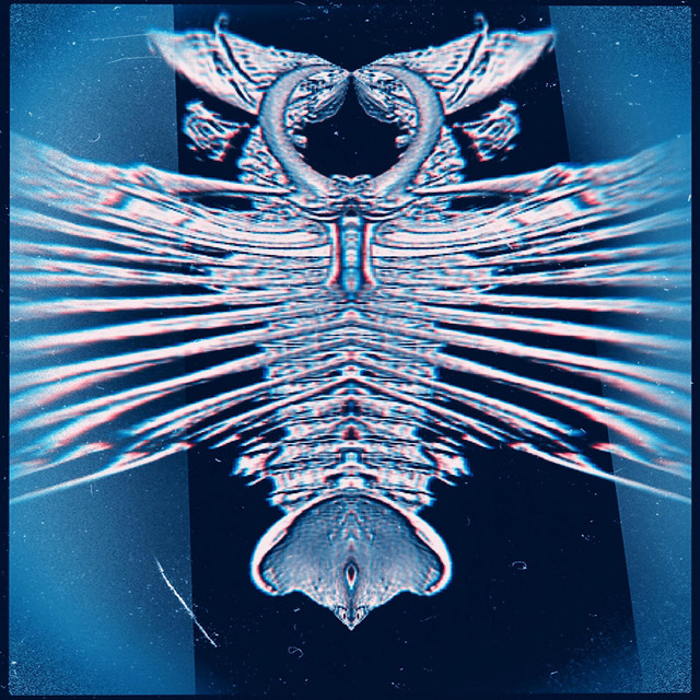 Phantasm Nocturnes