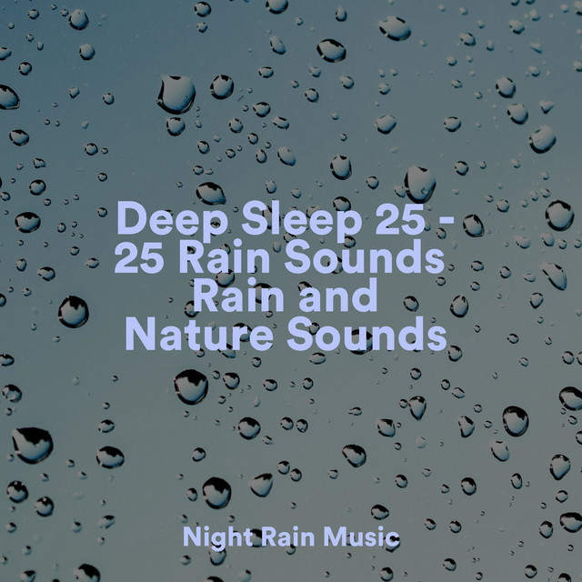 Deep Sleep 25 - 25 Rain Sounds Rain and Nature Sounds - Album by Brain ...