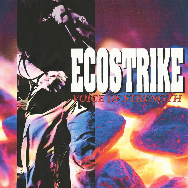 Voice of Strength cover art