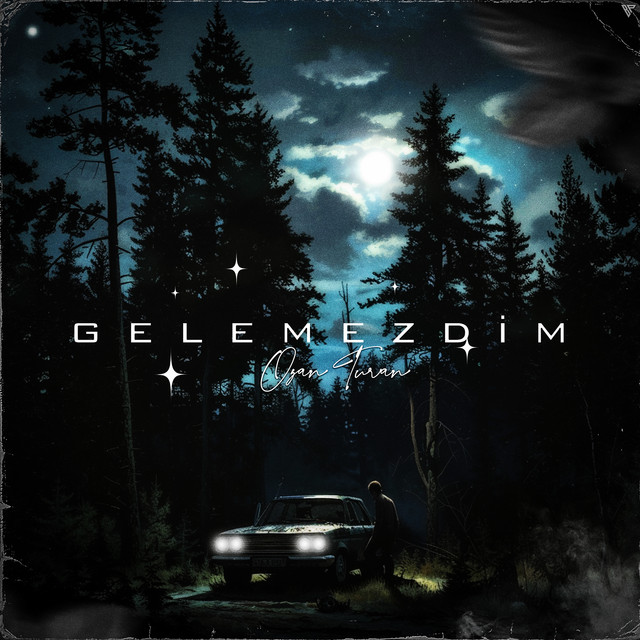 Gelemezdim cover art