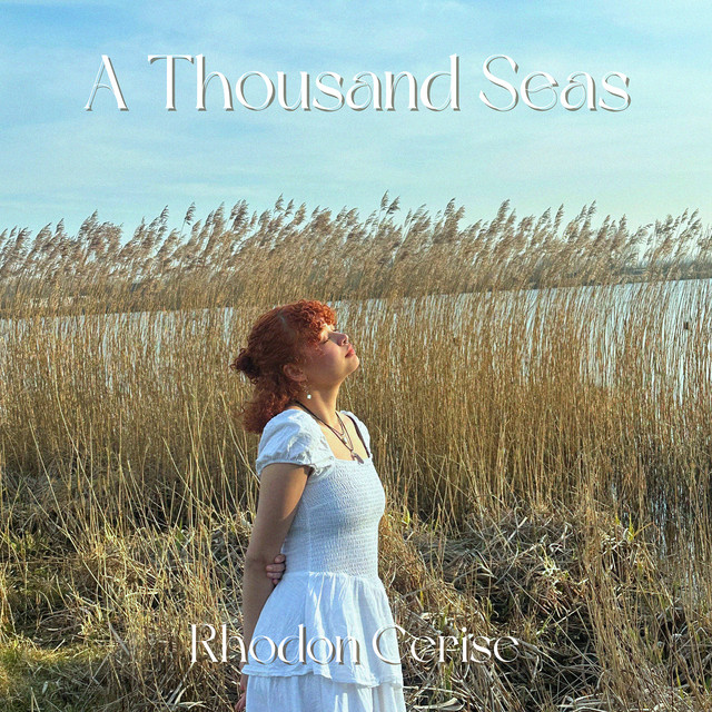 A Thousand Seas cover art