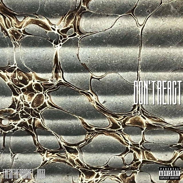 Don't React cover art