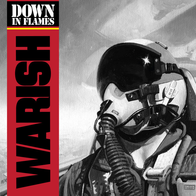 Down In Flames cover art
